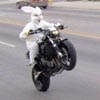 funnythebunny's Avatar