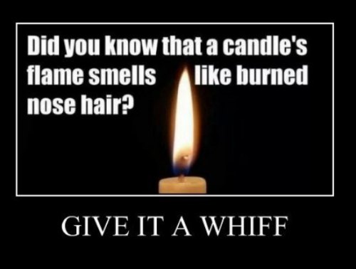 Name:  A candles flame smells like burned nose hair.jpg
Views: 413
Size:  21.1 KB