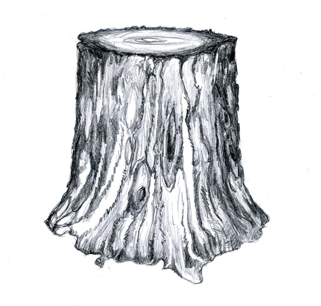 Name:  tree-stump.jpg
Views: 551
Size:  174.4 KB