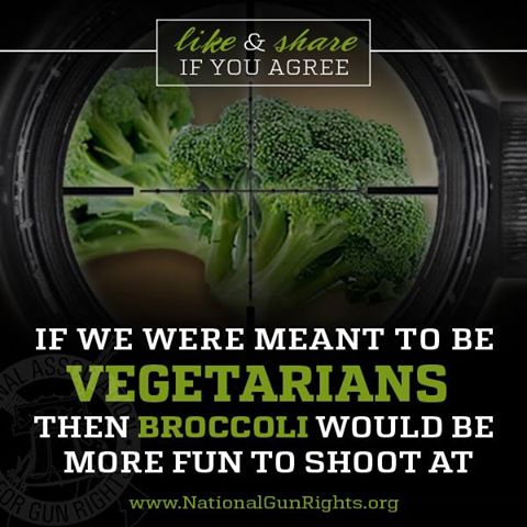 Name:  Broccoli would be more fun to shoot at.jpg
Views: 382
Size:  44.9 KB