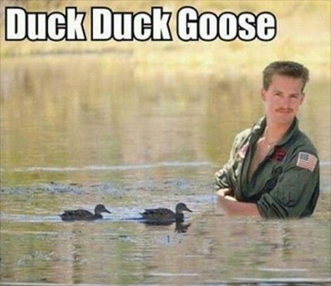 Name:  Duck Duck Goose.jpg
Views: 218
Size:  44.6 KB