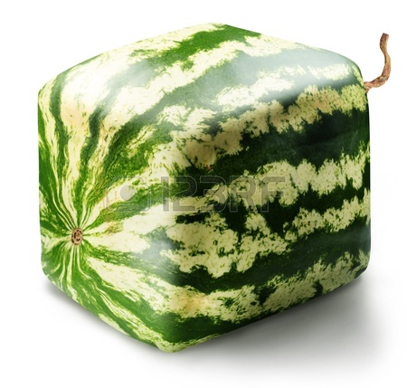 Name:  square watermelon.jpg
Views: 96
Size:  70.0 KB