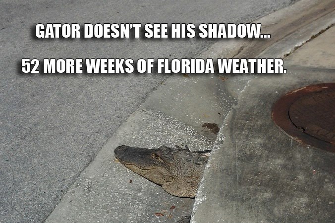Name:  52 more weeks of Florida weather.jpg
Views: 365
Size:  101.3 KB