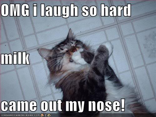 Name:  funny-pictures-cat-laughs-hard_zps27d87b23.jpg
Views: 117
Size:  33.5 KB