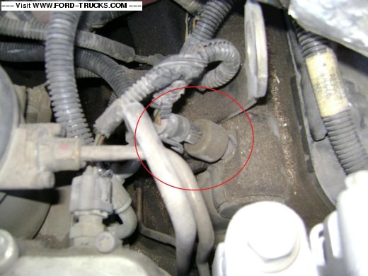 Name:  ICP Pic.jpg
Views: 291
Size:  62.8 KB