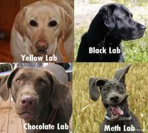 Name:  meth lab.jpg
Views: 334
Size:  10.9 KB
