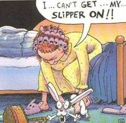 Name:  bunny_slipper.jpg
Views: 78
Size:  33.3 KB