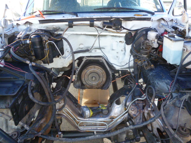 Name:  Engine compartment Clean.JPG
Views: 1254
Size:  146.4 KB