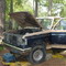 87'Bronco's Avatar