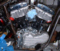 bugsplat's Avatar