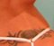 FoxyFordGirl514's Avatar