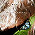 Off Road Mike's Avatar