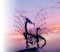 LBussy's Avatar