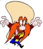 dmcelhannon's Avatar