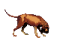rschaad's Avatar