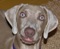 offroaddude's Avatar