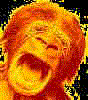 cagef15's Avatar