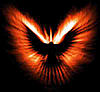 phoenix44's Avatar