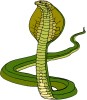 greencobra's Avatar