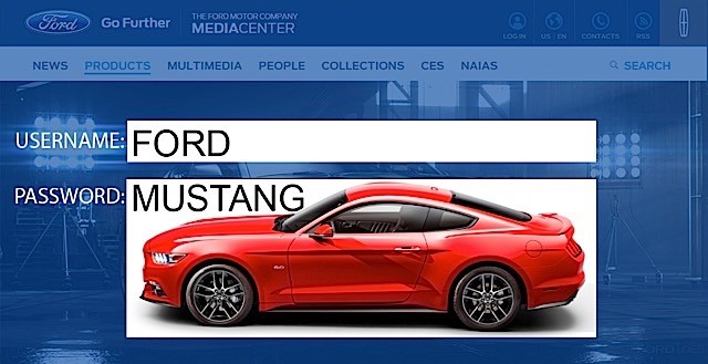 Mustang Password