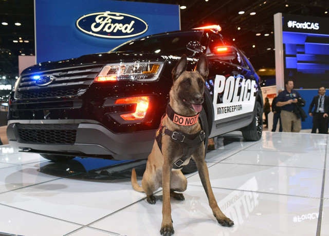 Woof! Man’s Best Friend Reveals Police Interceptor in Chicago