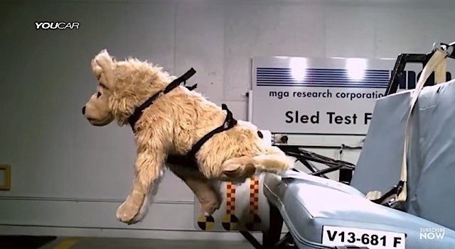 Canine Crash Test Proves Cars Are Not Dog’s Best Friend