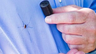 Ford Develops Way to Keep Spiders from Nesting in Vehicles