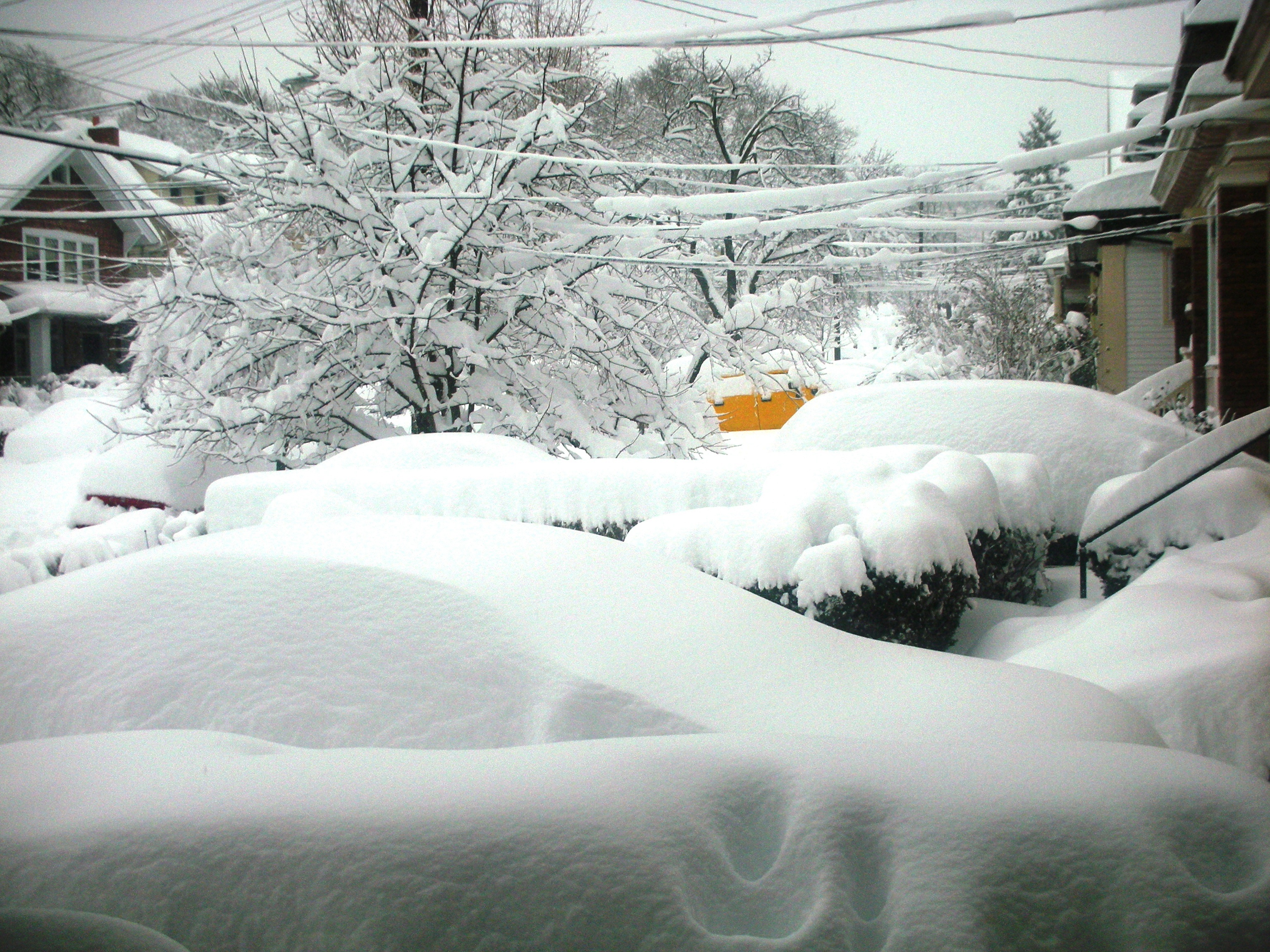 Snow_in_Pittsburgh_2010