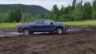 2015 Ford F-150 Hits the Mud and Lets Its V8 Roar