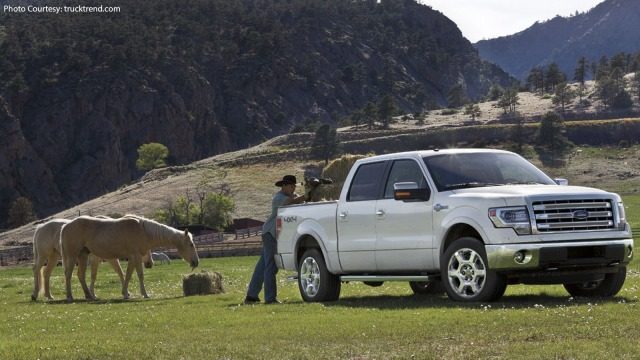 The Manly Stereotypes of Owning a Ford Truck (photos)