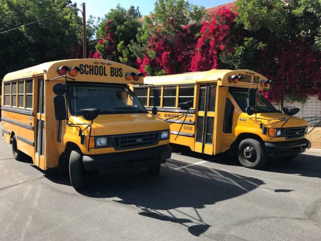 Two Ford School Buses