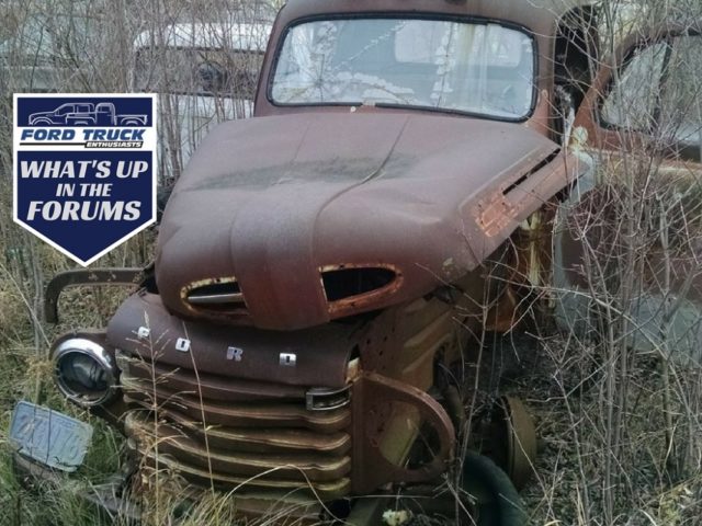 Vintage Ford Heaven at the Salvage Yard