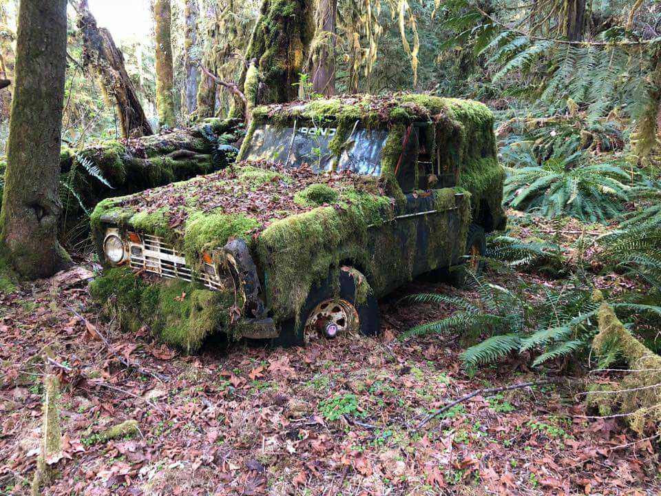 Abandoned Ford Bronco