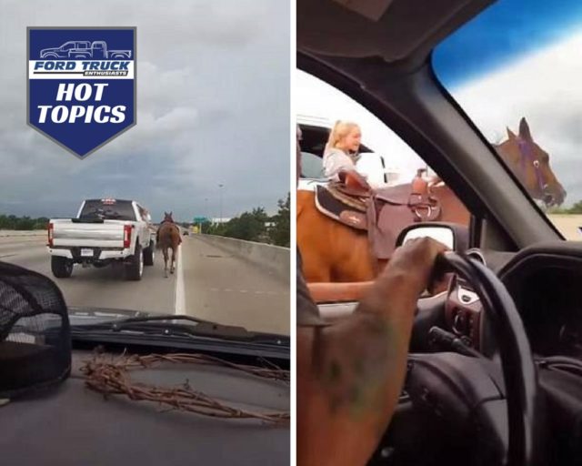 Super Duty Passenger Wrangles Runaway Horse on Texas Highway!