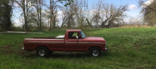 1977 Ford F-150 in the grass