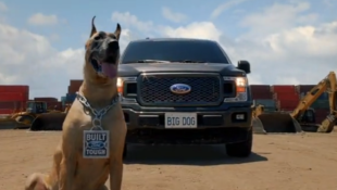 Ford Big Dog ad