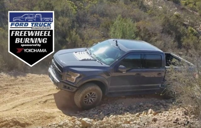 Two Views of a Raptor Climbing Steep Dirt Hill will Make Your Day
