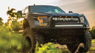MegaRexx Mega Raptor
