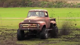 1953 Ford F-100 Twisted Turtle
