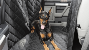 4Knines Cradles Your Pooch with New Floor Hammock for Truck Crew Cab